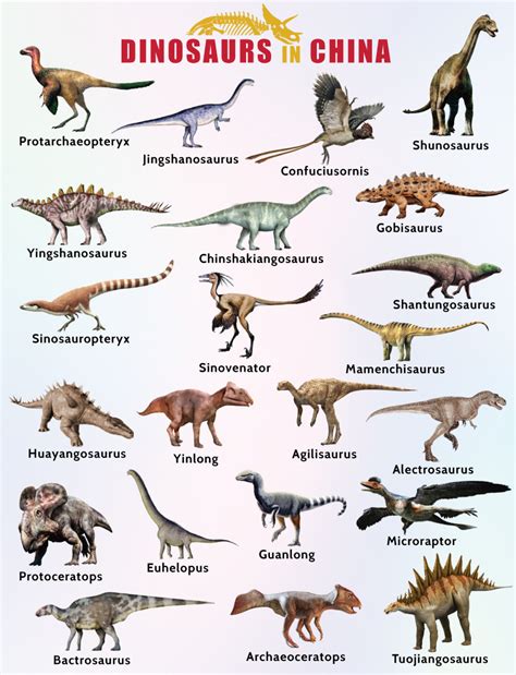 are there dinosaurs in china